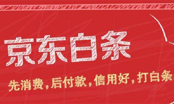京东白条基础信息失败怎么回事（京东白条被拒了怎么办）(2)