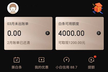 京东白条失败原因（京东白条无法激活怎样处理）(3)