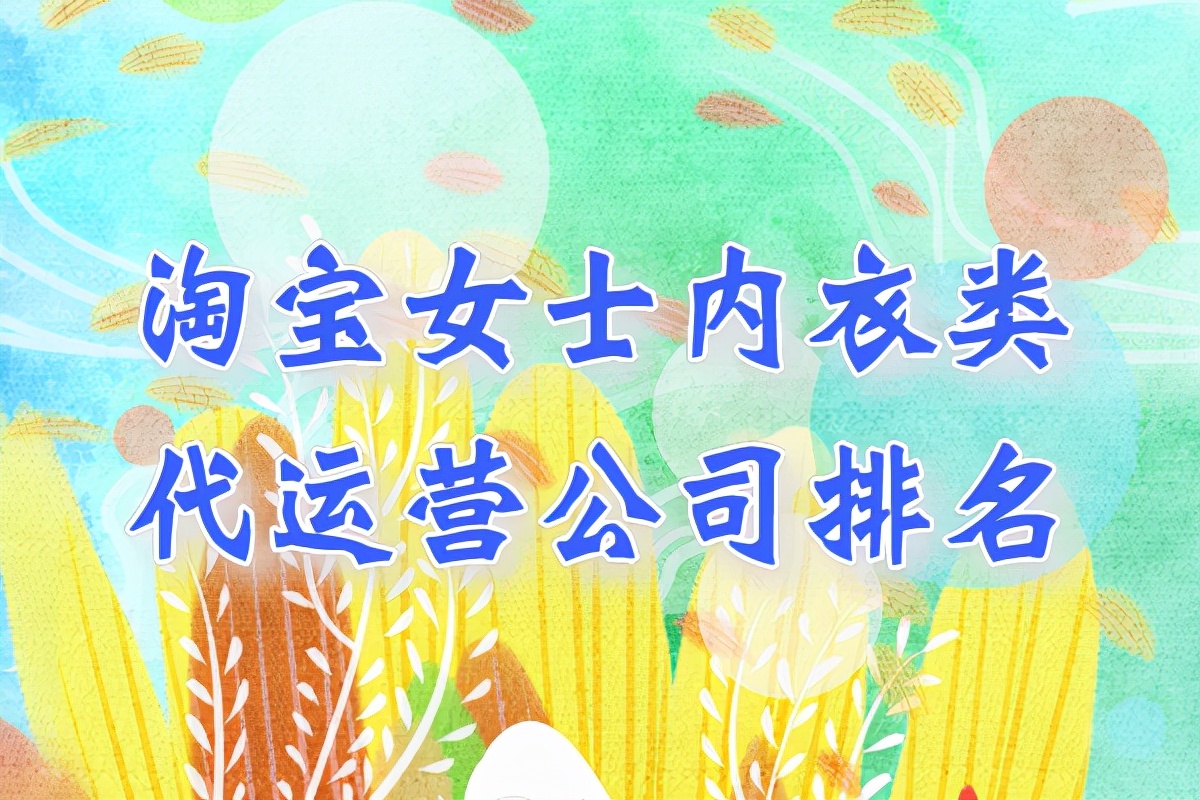 内衣淘宝代理商是怎么做的（淘宝女士内衣类代运营公司排名）(1)