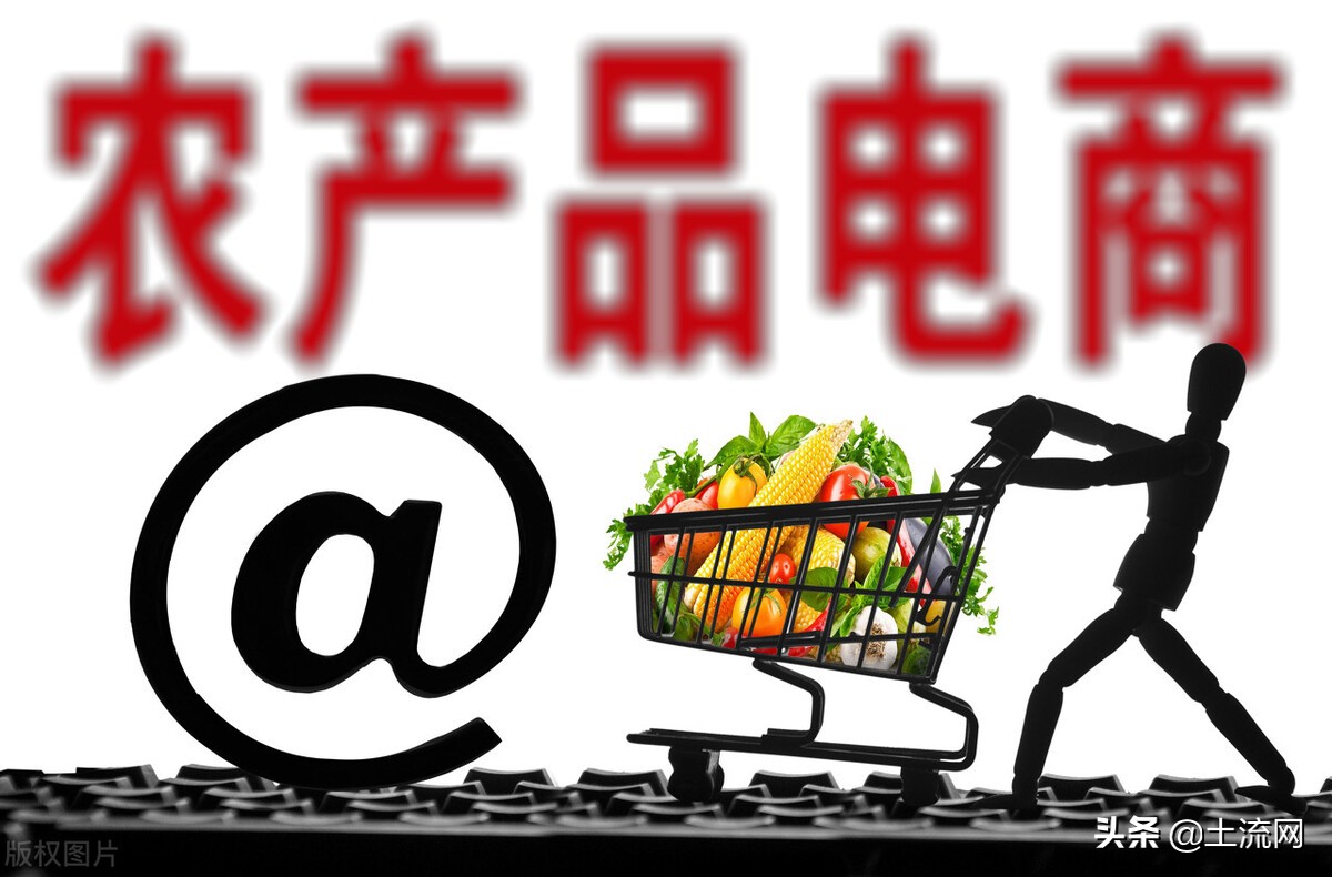 农村淘宝服务站盈利模式（农村电商发展模式的三种主要类型）(2)