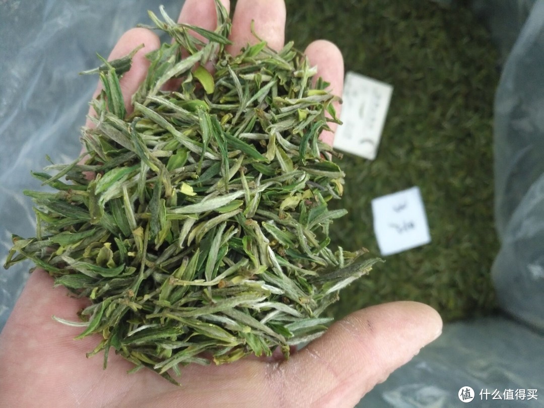 哪个牌子的绿茶好（“十大名茶”哪些值得喝）(11)