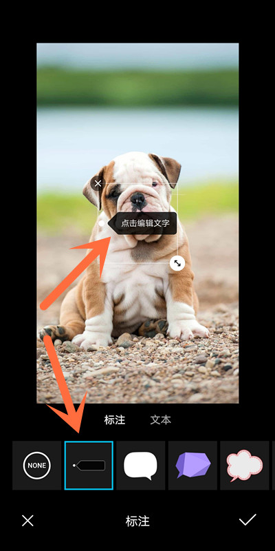 在微信图片上添加文字（图片照片用微信添加文字怎么操作）(4)