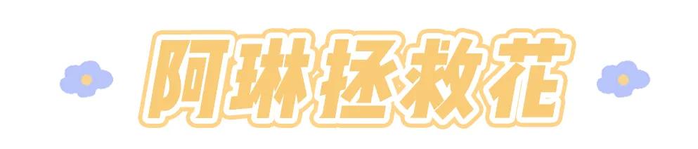 大码女装淘宝店铺推荐（6家私藏大码店分享）(7)