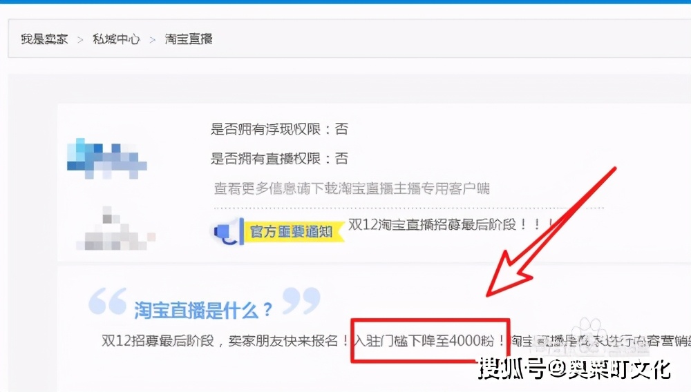 开通淘宝直播有什么要求（淘宝直播开通条件怎么开）(1)