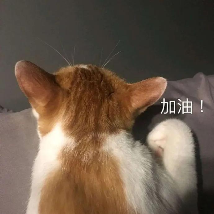 微信公众号接单平台有哪些（关于公众号赚钱，你要悄悄接单）(1)