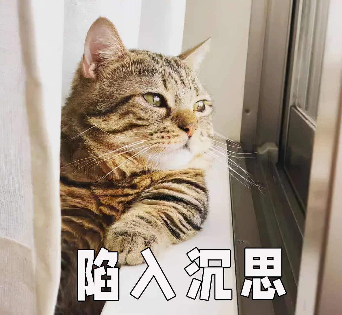 微信公众号粉丝量查询（公众号粉丝活跃度怎么提升）(2)