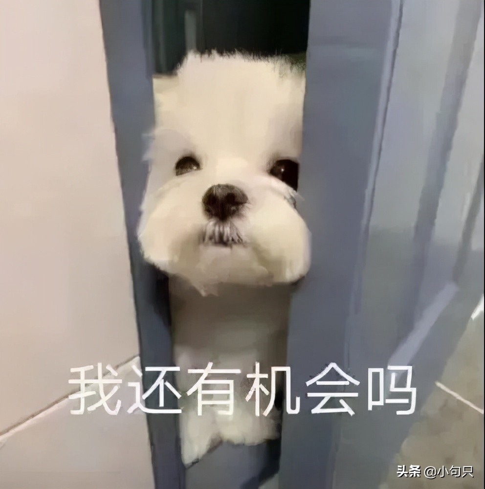 微信加人文案怎么写比较好（沙雕搞笑的加好友文案）(3)