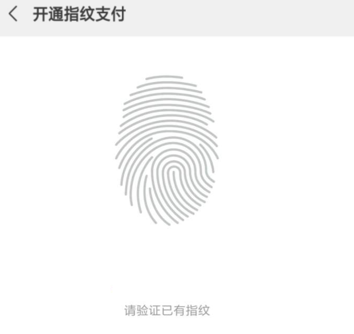 微信怎么启用指纹支付功能（微信怎么设置用指纹开启付款功能）(6)