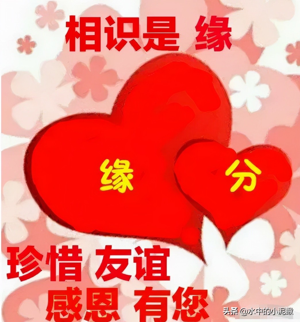 微信群发发什么内容好一些（微信群发早上好图片问候）(2)