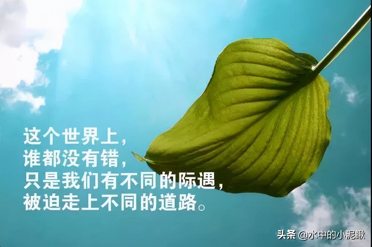 微信群发发什么内容好一些（微信群发早上好图片问候）(1)