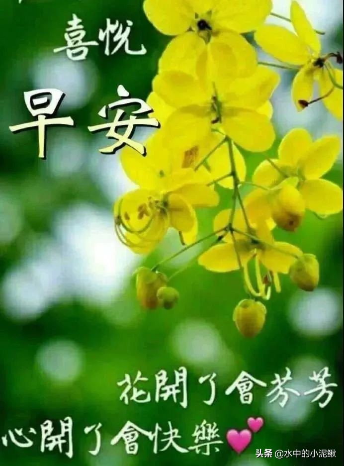 微信群发发什么内容好一些（微信群发早上好图片问候）(6)