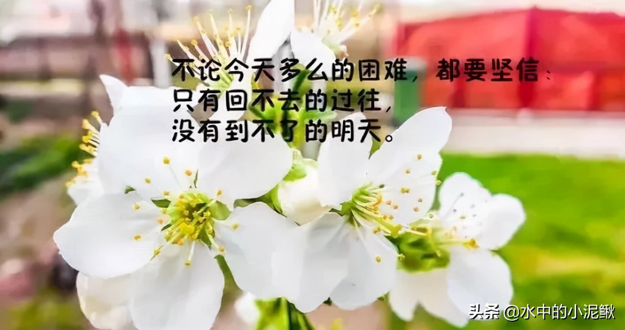 微信群发发什么内容好一些（微信群发早上好图片问候）(5)