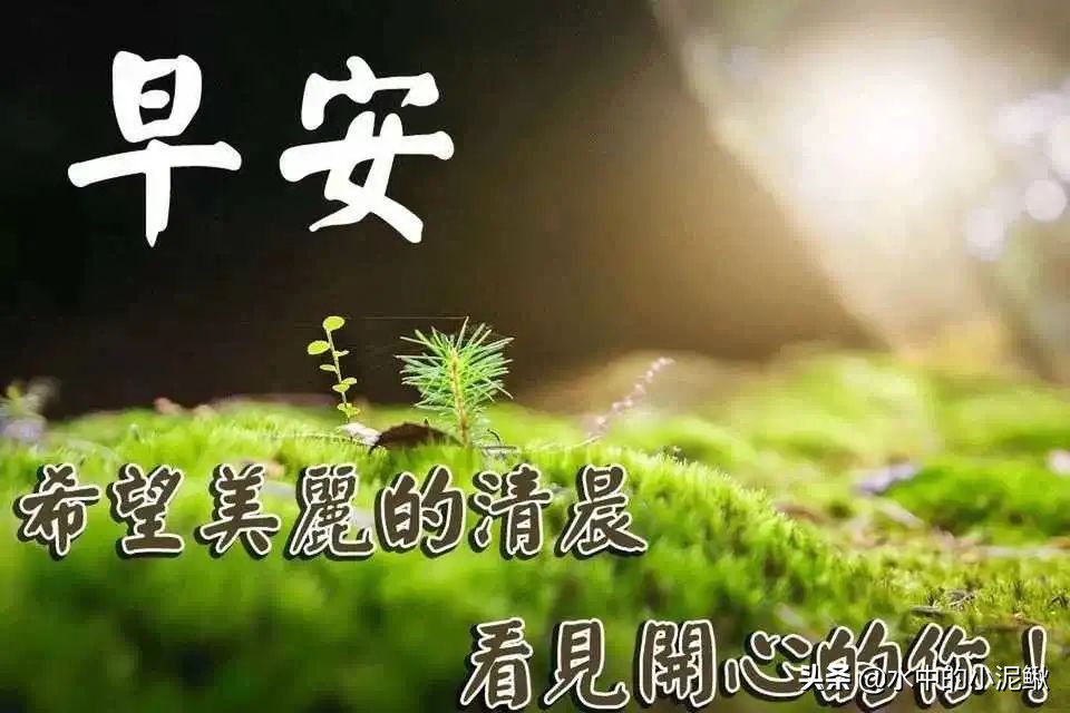 微信群发发什么内容好一些（微信群发早上好图片问候）(8)