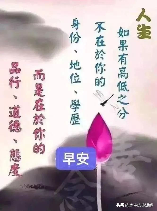 微信群发发什么内容好一些（微信群发早上好图片问候）(7)
