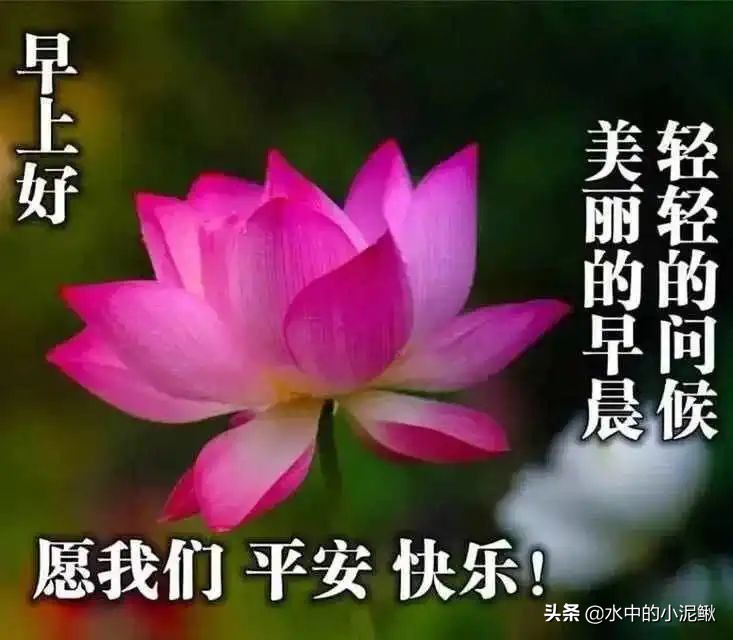 微信群发发什么内容好一些（微信群发早上好图片问候）(10)