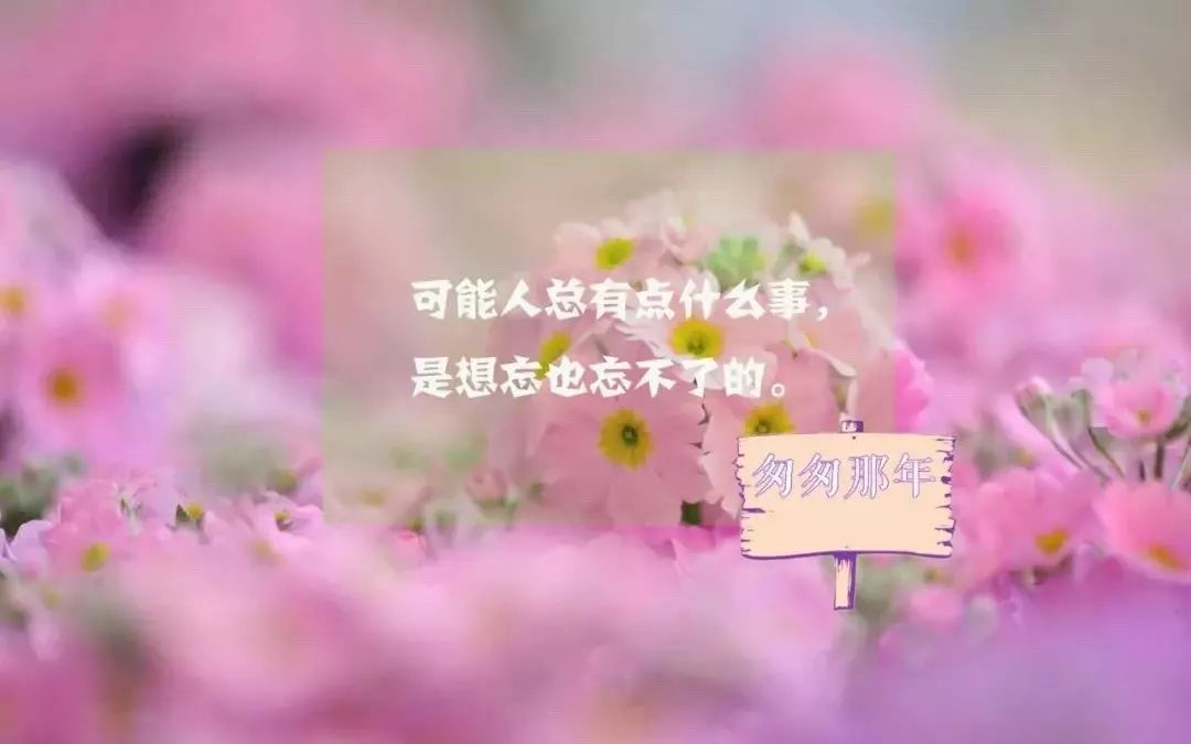 微信群发发什么内容好一些（微信群发早上好图片问候）(11)