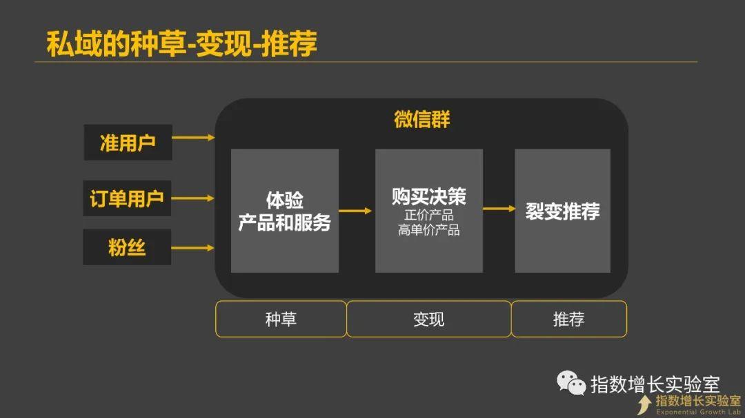 微信群投放广告效果（盘点微信群的4种私域玩法）(1)