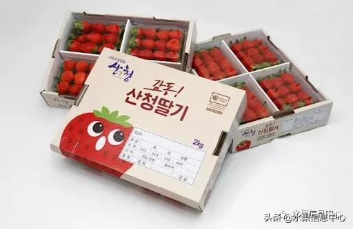 快递草莓怎么包装保鲜（如何解决草莓包装痛点）(20)
