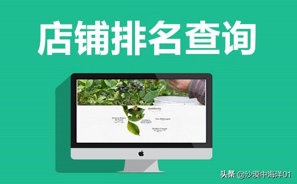 怎么看淘宝店铺排名（淘宝店铺卖家排名查询）(1)