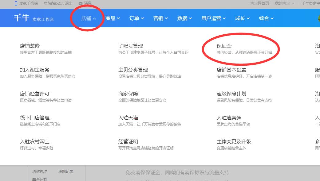手机淘宝保证金怎么交30元（淘宝开店必须交1000元保证金吗）(2)