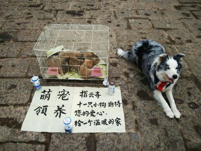批发什么最赚钱摆摊的（最轻松最赚钱最火爆地摊项目）(6)