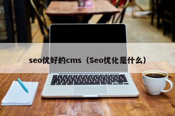 seo优好的cms（Seo优化是什么）
