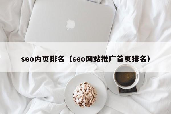 seo内页排名（seo网站推广首页排名）