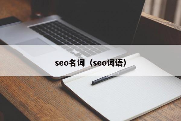 seo名词（seo词语）