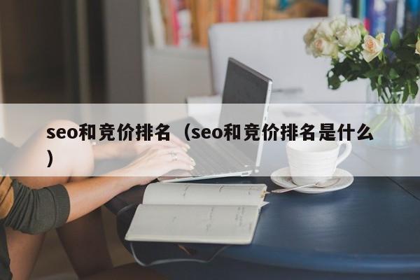 seo和竞价排名（seo和竞价排名是什么）