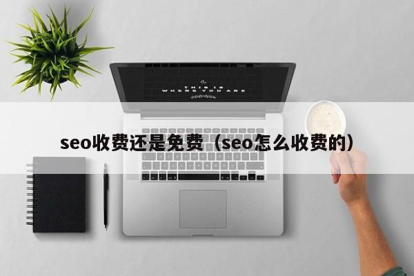 seo收费还是免费（seo怎么收费的）