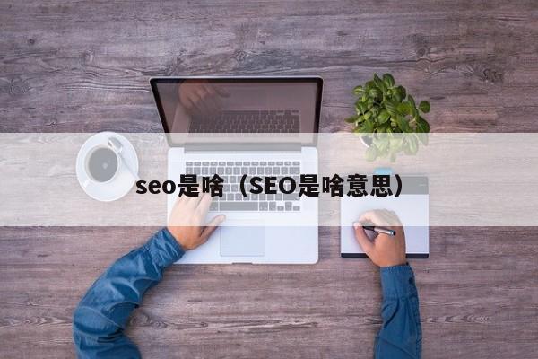 seo是啥（SEO是啥意思）