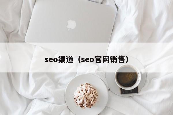 seo渠道（seo官网销售）