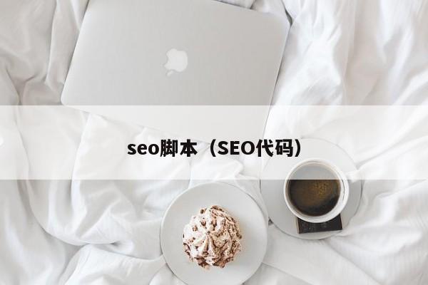 seo脚本（SEO代码）