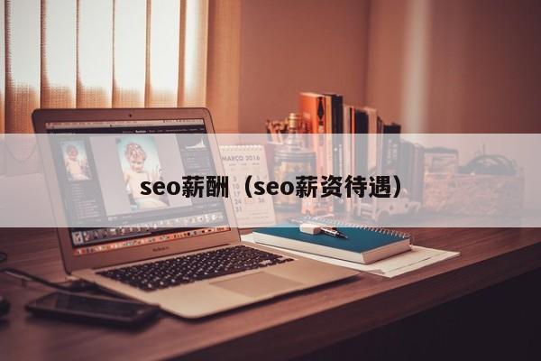 seo薪酬（seo薪资待遇）