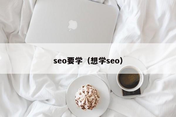 seo要学（想学seo）