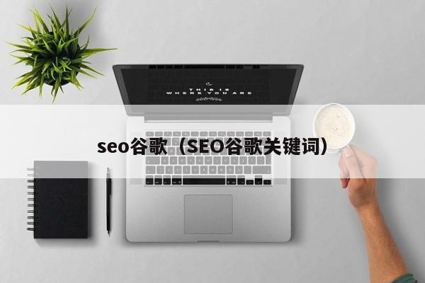 seo谷歌（SEO谷歌关键词）