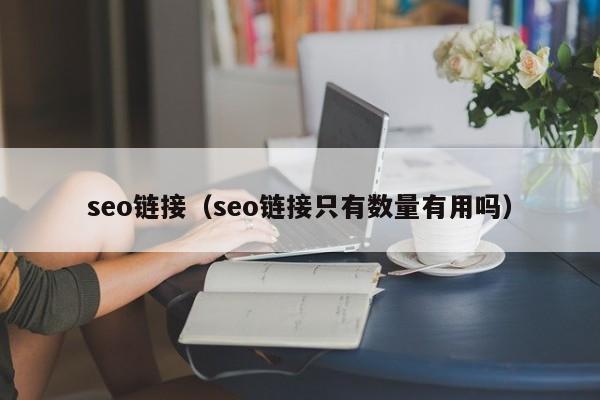 seo链接（seo链接只有数量有用吗）