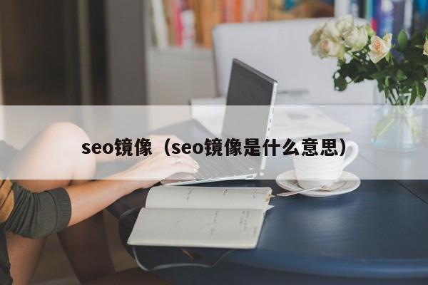 seo镜像（seo镜像是什么意思）